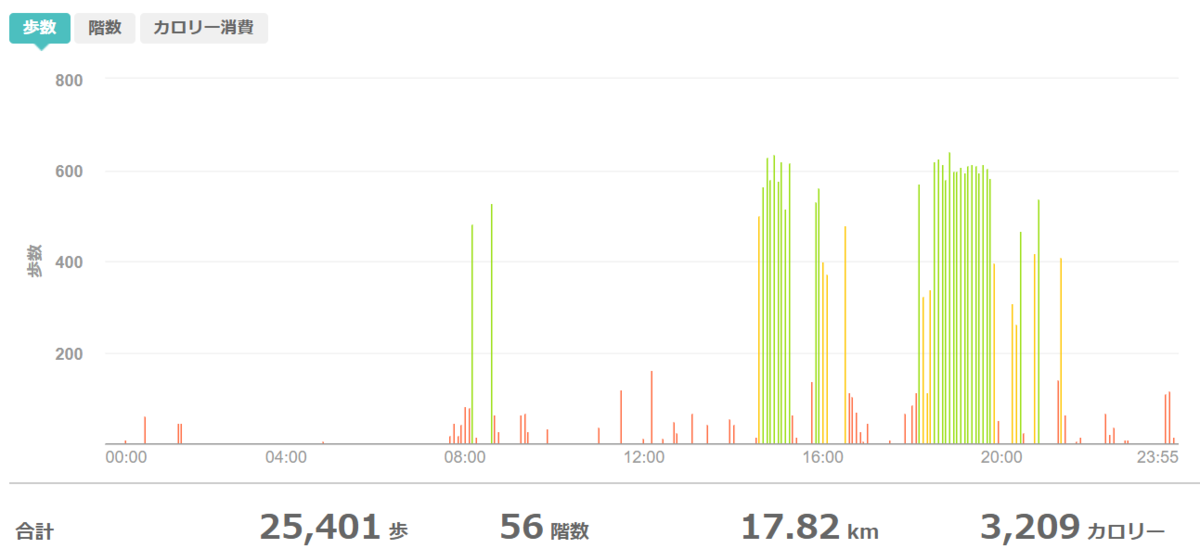 fitbitログより　運動データ