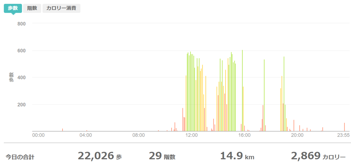 fitbitログより　運動データ