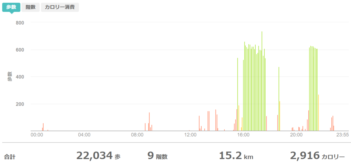 fitbitログより　運動データ