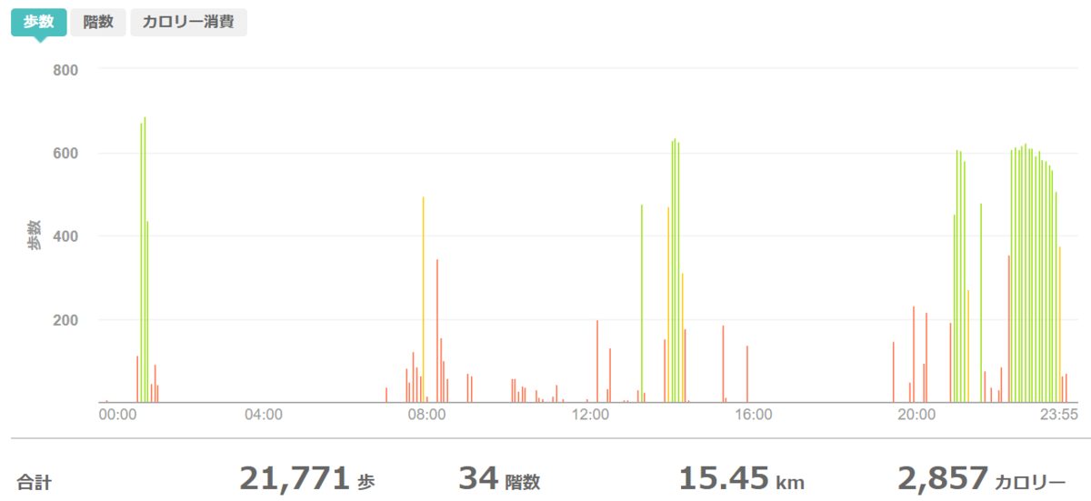 fitbitログより 運動データ