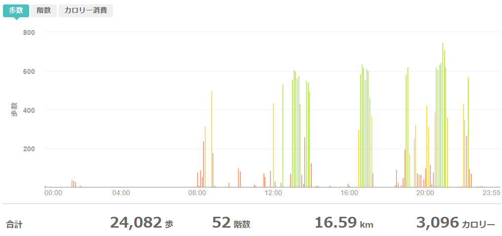 fitbitログより 運動データ