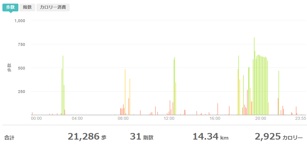 fitbitログより 運動データ
