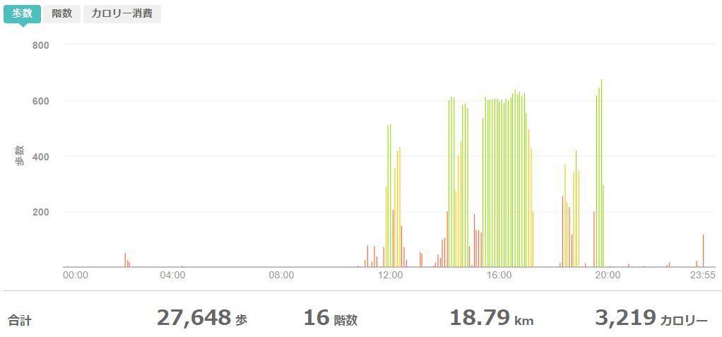 fitbitログより 運動データ