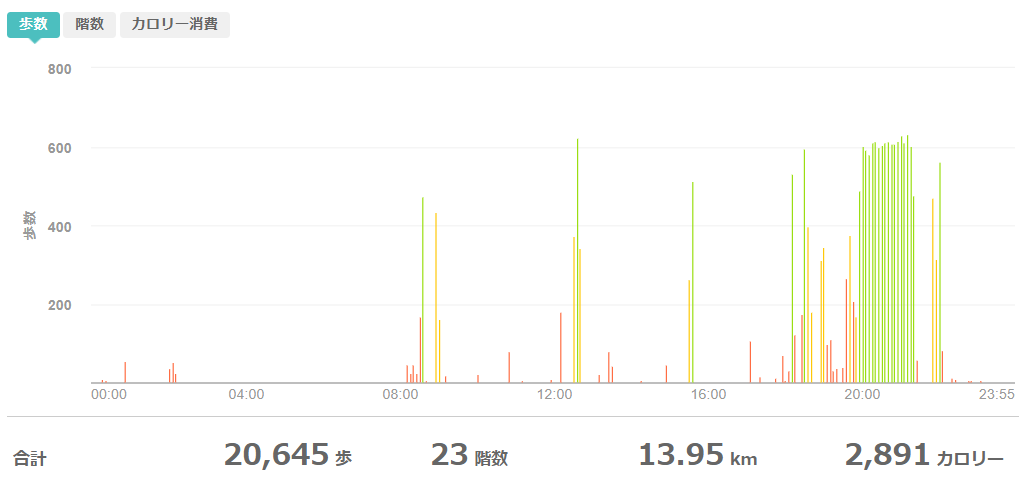 fitbitログより 運動データ