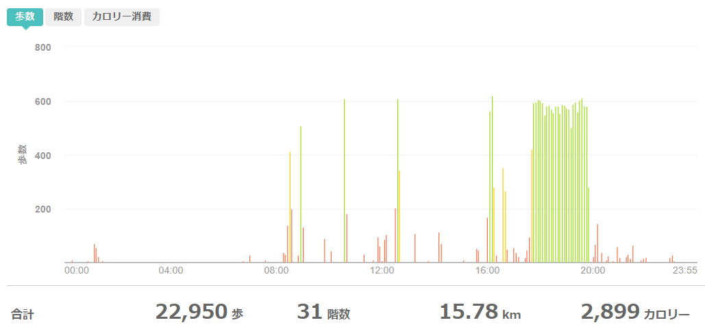 fitbitログより 運動データ