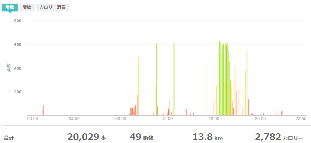 fitbitログより 運動データ