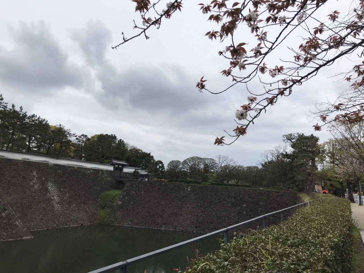 f:id:umihiroya:20200413003520j:plain f:id:umihiroya:20200413003520j:plain