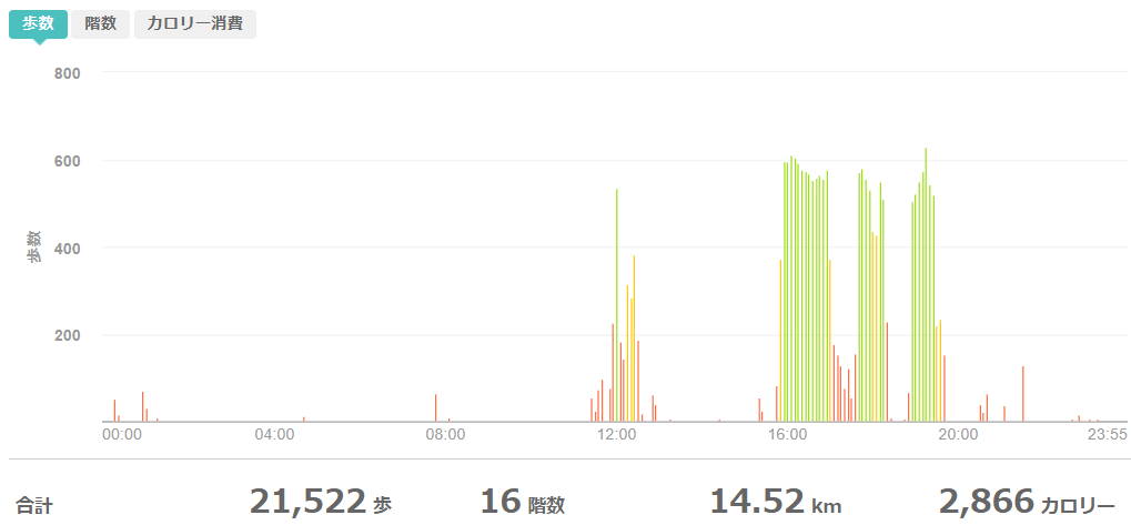 fitbitログより 運動データ