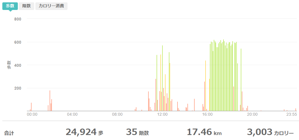 fitbitログより 運動データ