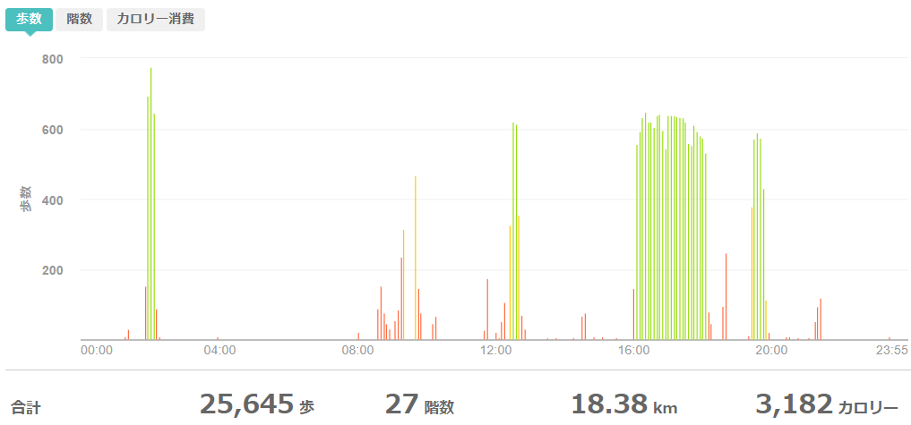 fitbitログより 運動データ