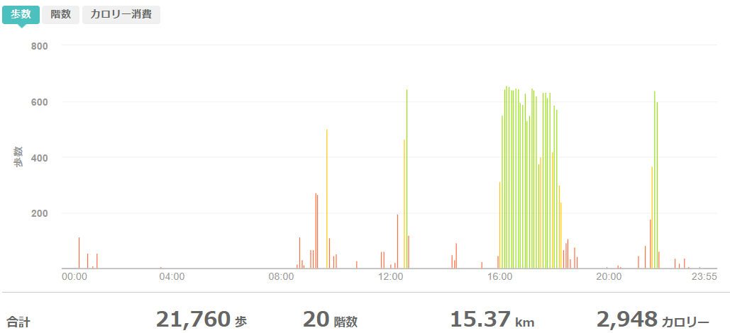 fitbitログより 運動データ
