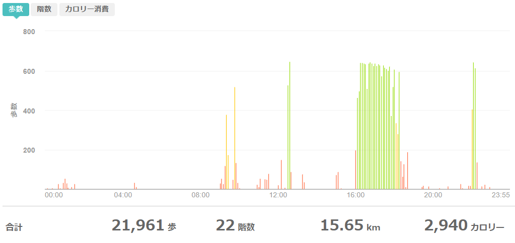 fitbitログより 運動データ