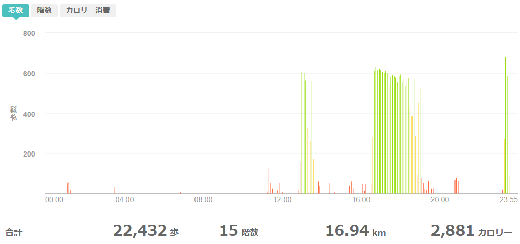 fitbitログより 運動データ