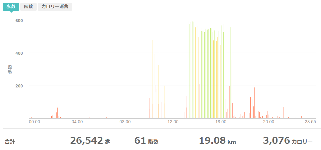 fitbitログより 運動データ