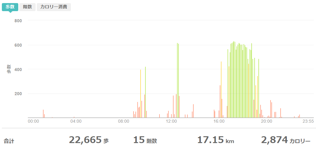 fitbitログより 運動データ