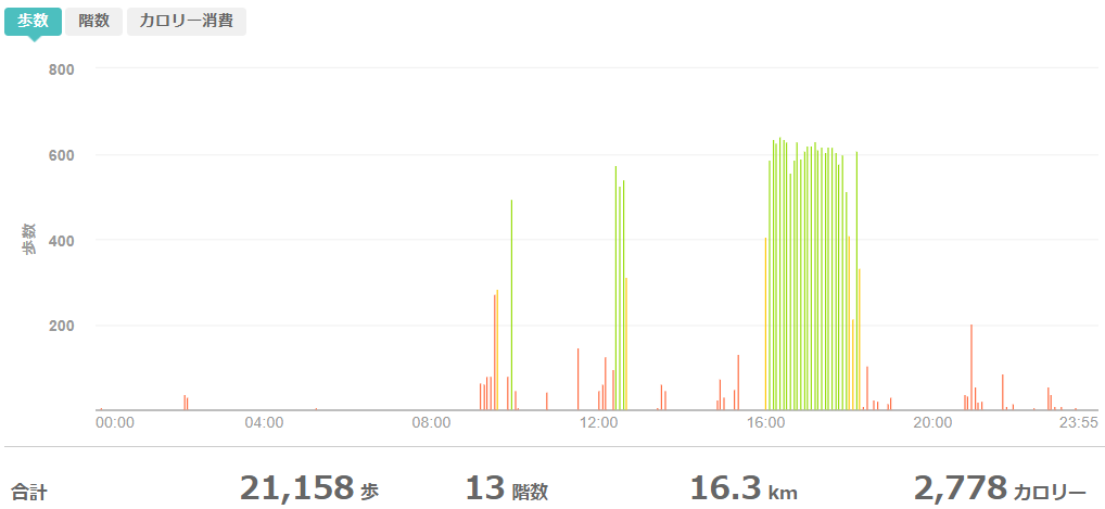 fitbitログより　運動データ