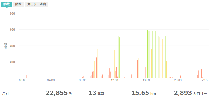 fitbitログより　運動データ