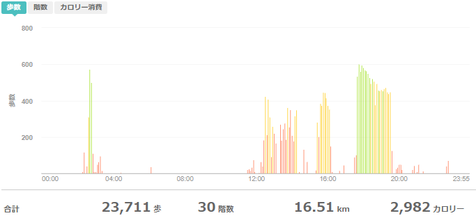 fitbitログより　運動データ