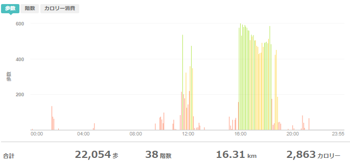 fitbitログより　運動データ