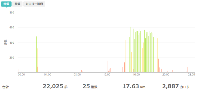 fitbitログより　運動データ2020年4月29日分