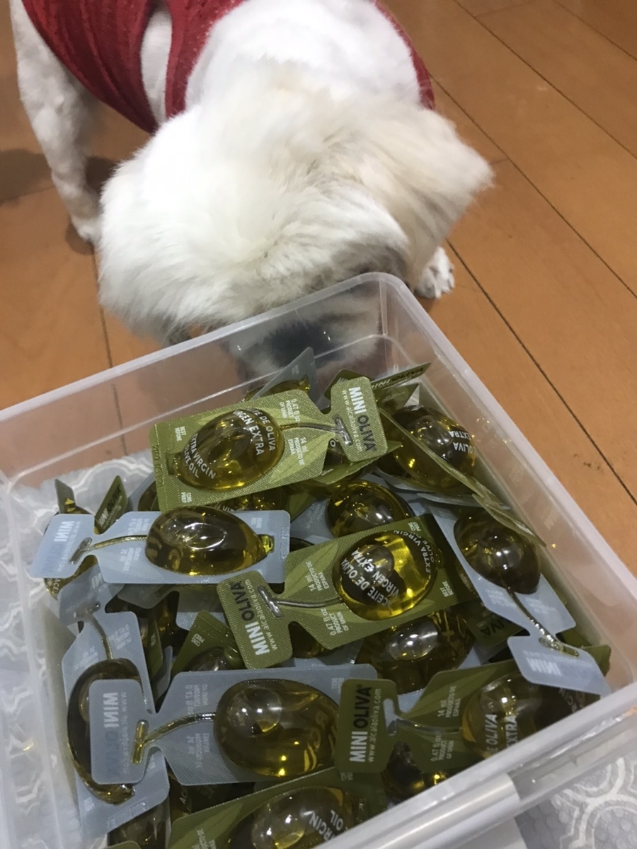 わんわん（オリーブオイルありすぎじゃない？）
