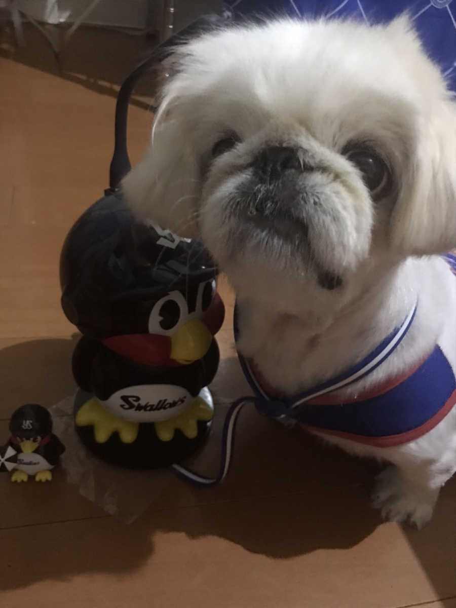 ファンクラブ限定品のつば九郎加湿器とイッヌ