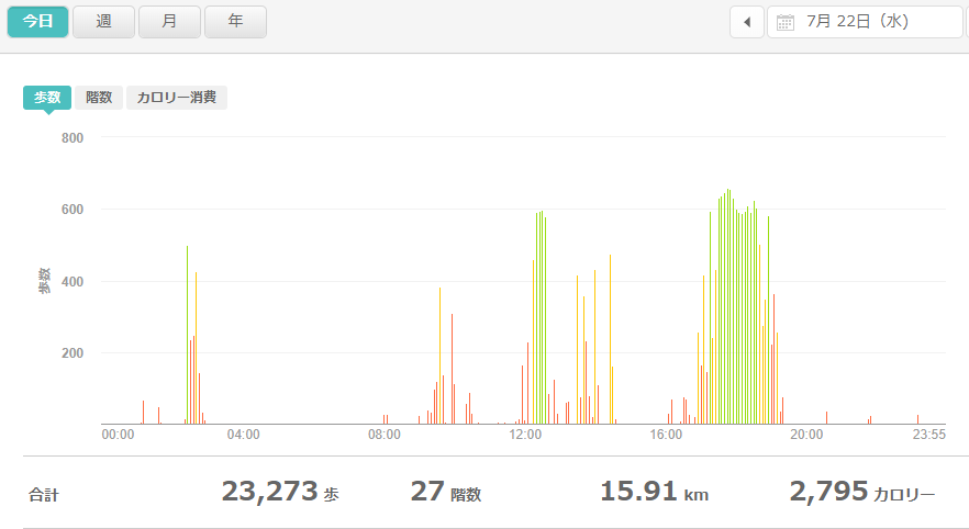 fitbitログより　運動データ2020年7月23日分
