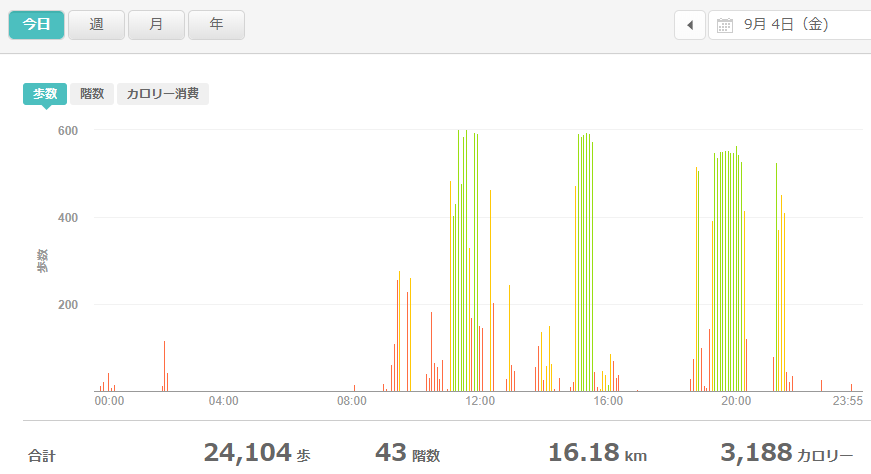 fitbitログより　運動データ2020年9月4日分