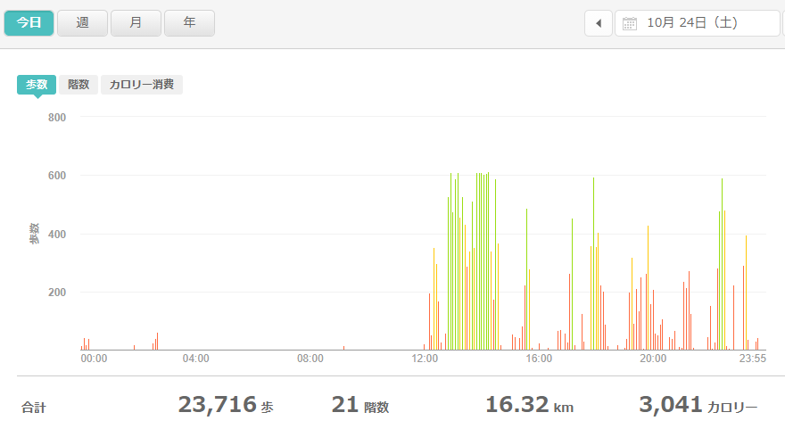fitbitログより　運動データ2020年10月24日分