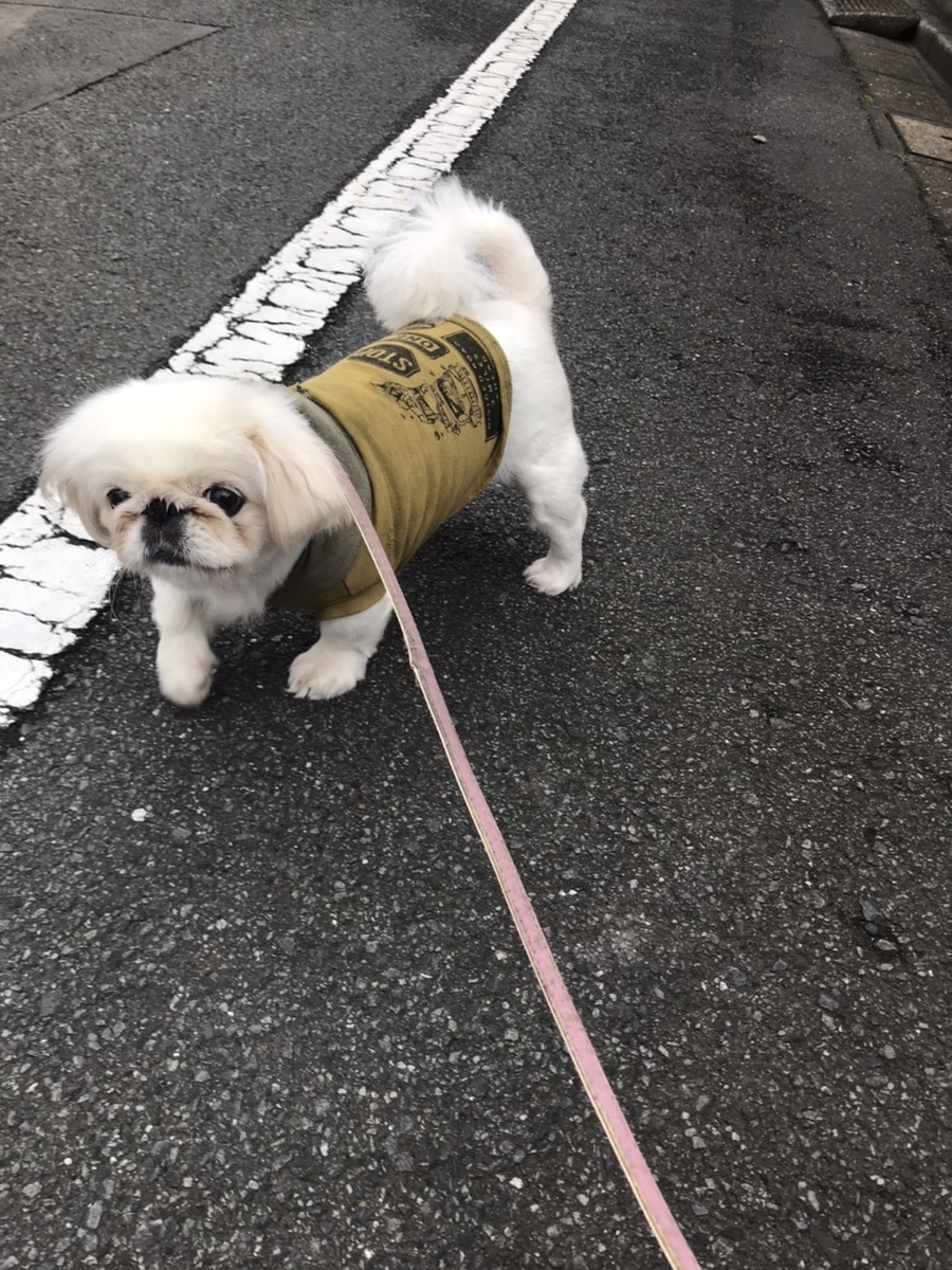 おかげでこんなに元気になったよ