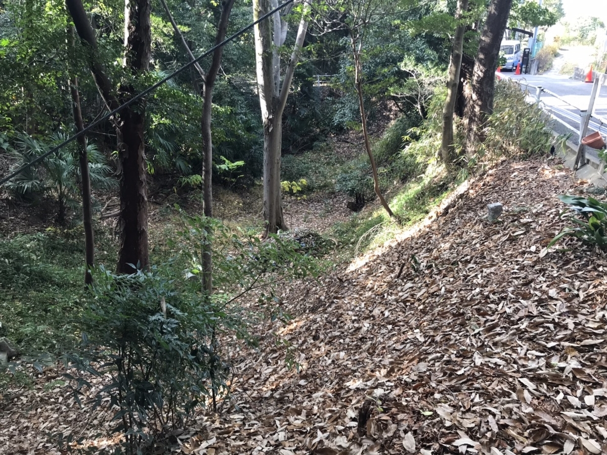 末森城跡の空堀