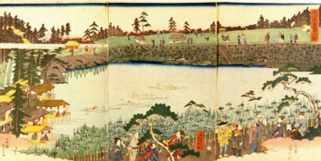 一松斎芳宗「十二社菖蒲の図」