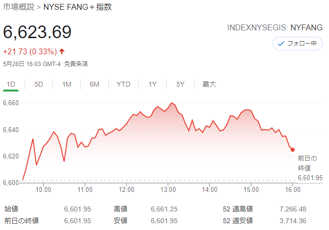 FANG+index 2021年5月28日