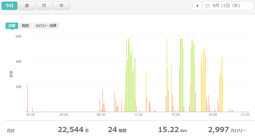 fitbitログより　運動データ2021年8月11日