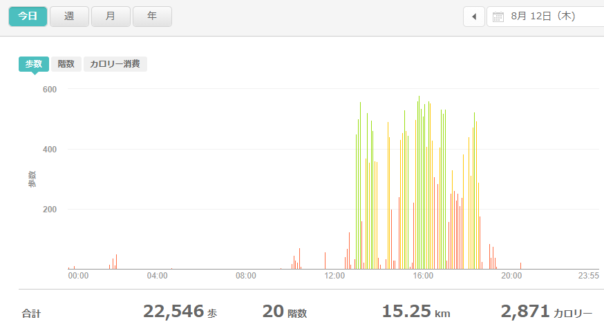 fitbitログより　運動データ2021年8月12日