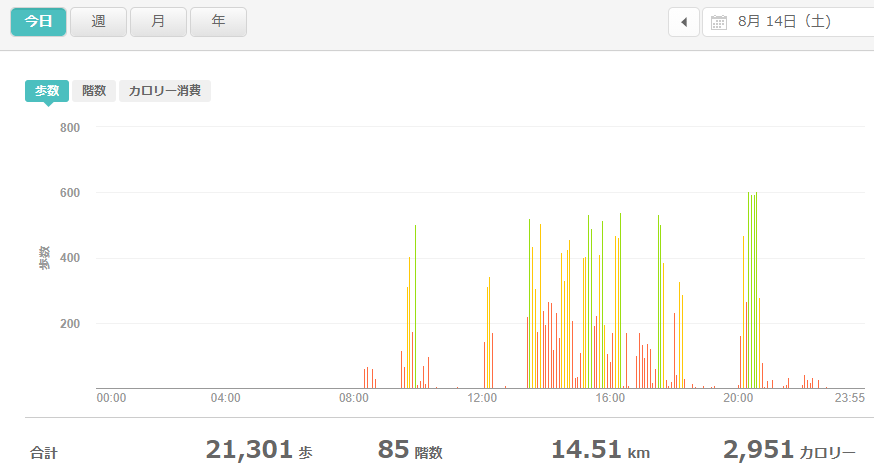 fitbitログより　運動データ2021年8月14日