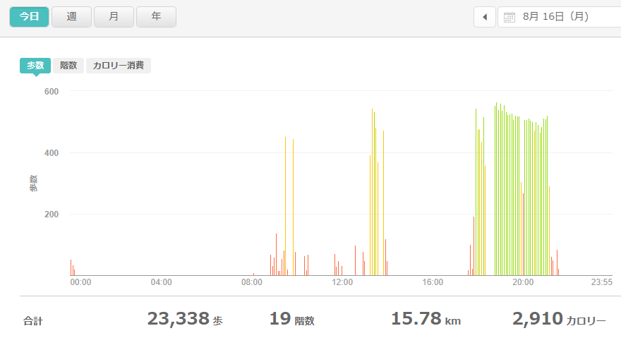 fitbitログより　運動データ2021年8月16日