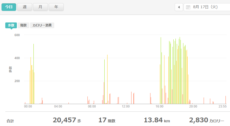 fitbitログより　運動データ2021年8月17日