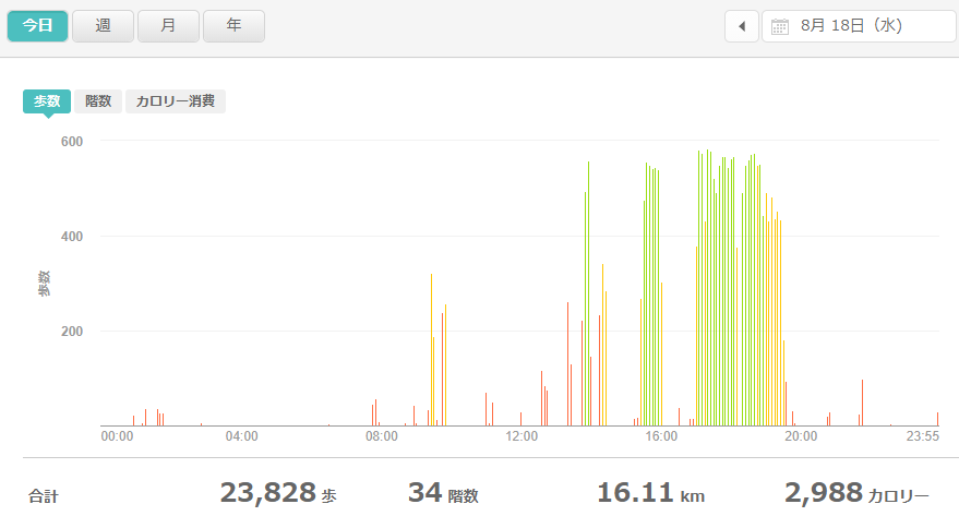 fitbitログより　運動データ2021年8月18日