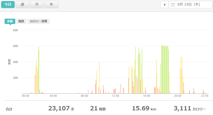 fitbitログより　運動データ2021年8月19日