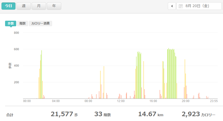 fitbitログより　運動データ2021年8月20日