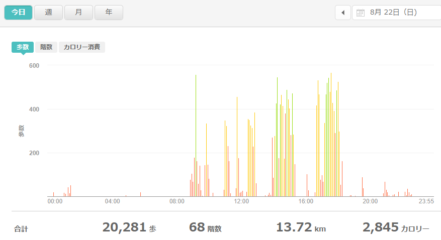 fitbitログより　運動データ2021年8月22日