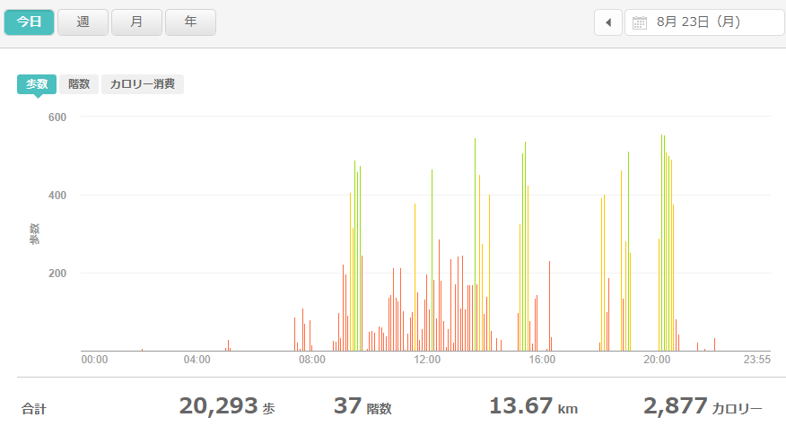 fitbitログより　運動データ2021年8月23日