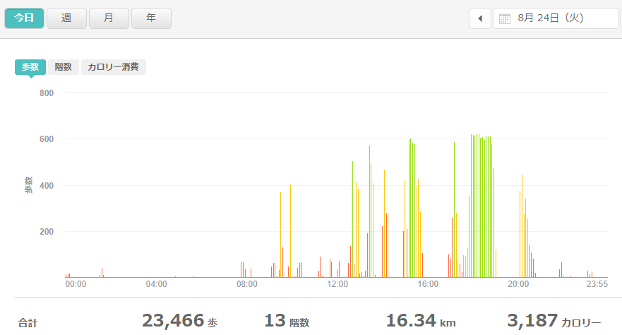 fitbitログより　運動データ2021年8月24日