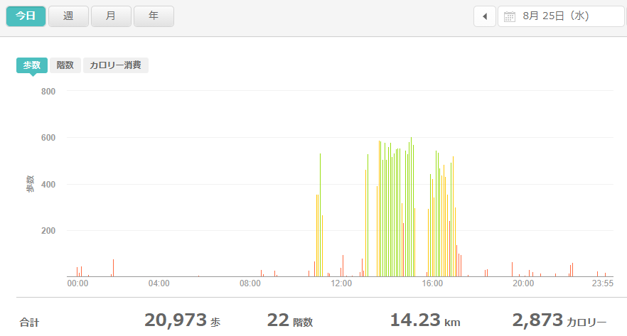 fitbitログより 運動データ2021年8月25日