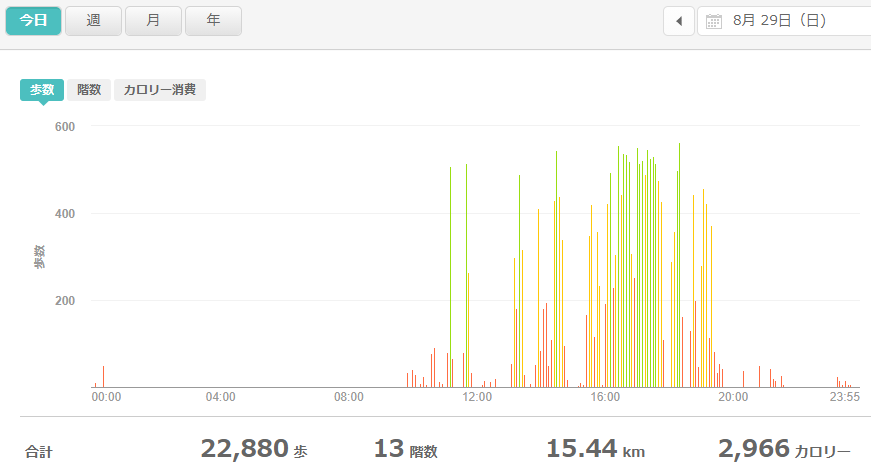 fitbitログより 運動データ2021年8月29日
