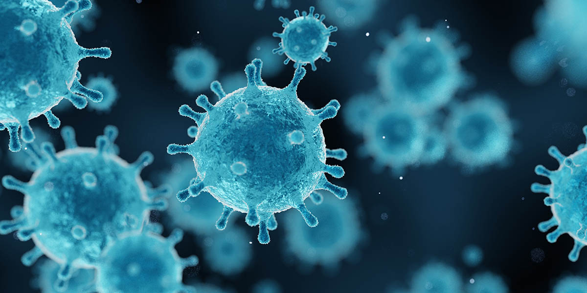 f:id:umihiroya:20210917213924j:plain