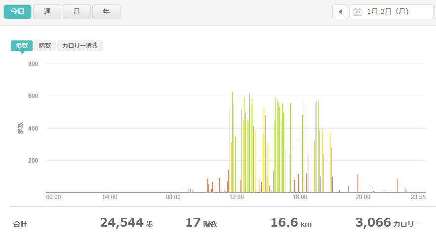 fitbitログより　運動データ2022年1月3日