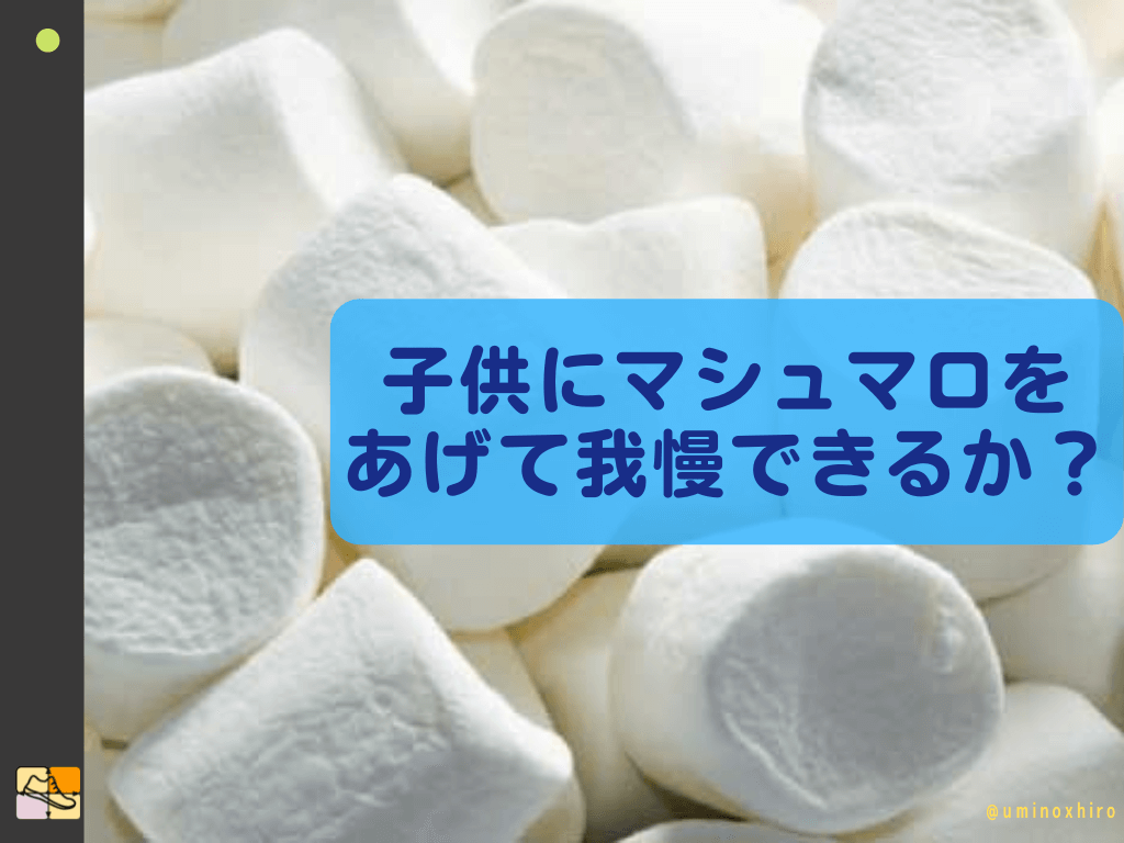 子供にマシュマロを あげて我慢できるか?