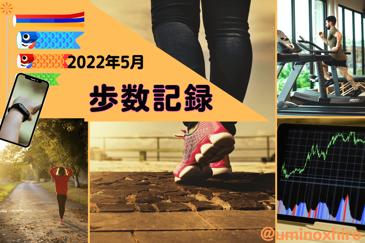 目標毎日20,000歩のウォーキング2022年5月